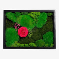 Tablou Natural Cu Mușchi Licheni Și Trandafir Criogenat Roz Închis 30x40 Cm Decor Elegant Pentru Sufragerie Sau Birou - Trandafir - Criogenat.ro
