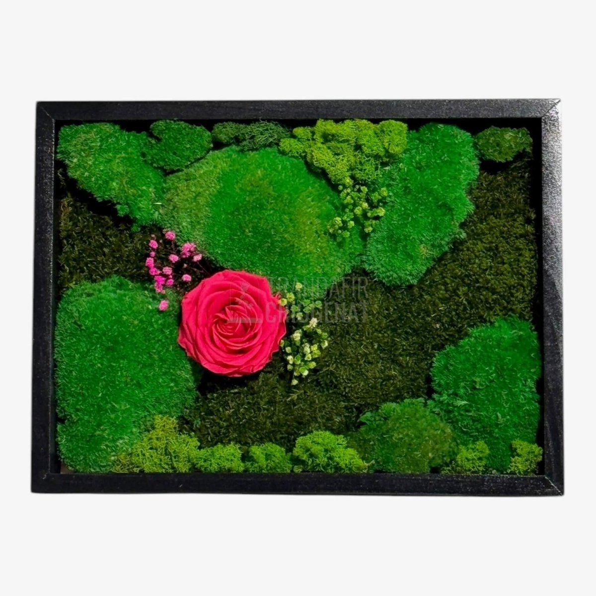Tablou natural cu mușchi licheni și trandafir criogenat roz închis 30 × 40 cm decor pentru sufragerie sau birou