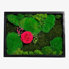 Tablou Natural Cu Mușchi Licheni Și Trandafir Criogenat Roz Închis 30x40 Cm Decor Elegant Pentru Sufragerie Sau Birou - Trandafir - Criogenat.ro