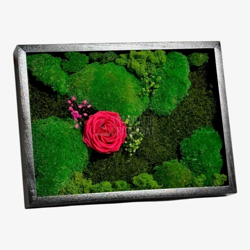 Tablou Natural Cu Mușchi Licheni Și Trandafir Criogenat Roz Închis 30x40 Cm Decor Elegant Pentru Sufragerie Sau Birou - Trandafir - Criogenat.ro