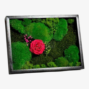 Tablou Natural Cu Mușchi Licheni Și Trandafir Criogenat Roz Închis 30x40 Cm Decor Elegant Pentru Sufragerie Sau Birou - Trandafir - Criogenat.ro