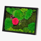 Tablou Natural Cu Mușchi Licheni Și Trandafir Criogenat Roz Închis 30x40 Cm Decor Elegant Pentru Sufragerie Sau Birou - Trandafir - Criogenat.ro