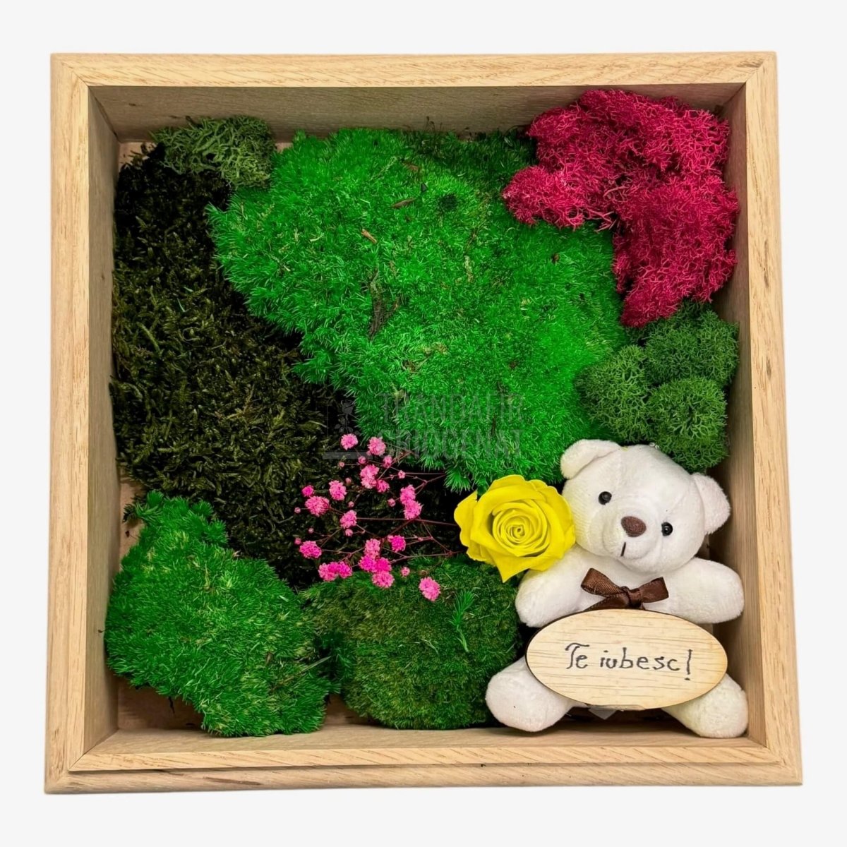 Tablou Natural cu Mușchi Licheni Trandafir Criogenat și Ursuleț o Declarație de Dragoste Unică - Trandafir - Criogenat.ro
