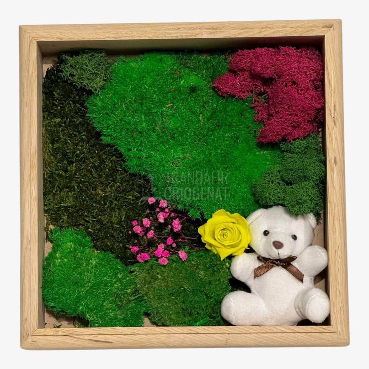 Tablou Natural cu Mușchi Licheni Trandafir Criogenat și Ursuleț o Declarație de Dragoste Unică - Trandafir - Criogenat.ro