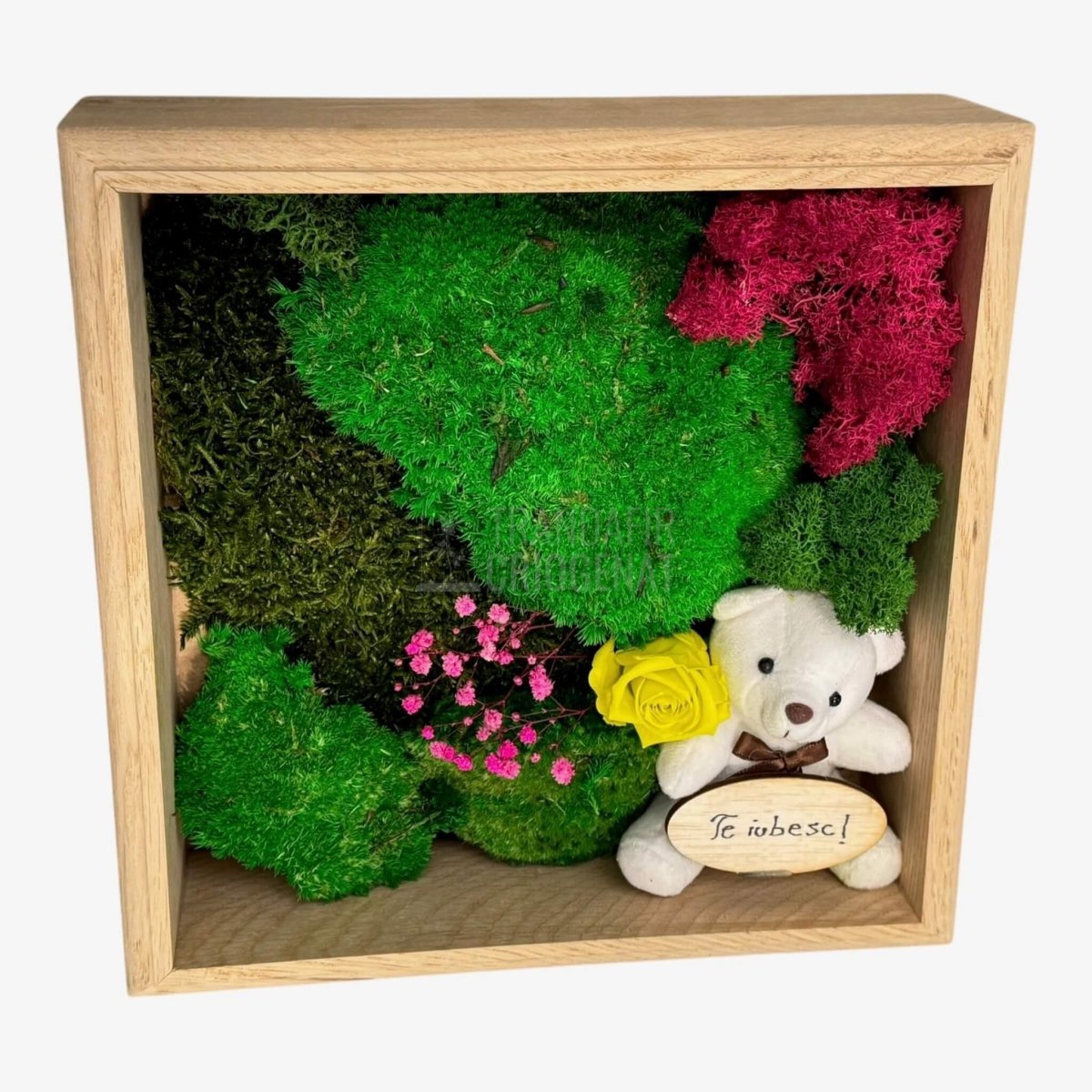 Tablou Natural cu Mușchi Licheni Trandafir Criogenat și Ursuleț o Declarație de Dragoste Unică - Trandafir - Criogenat.ro