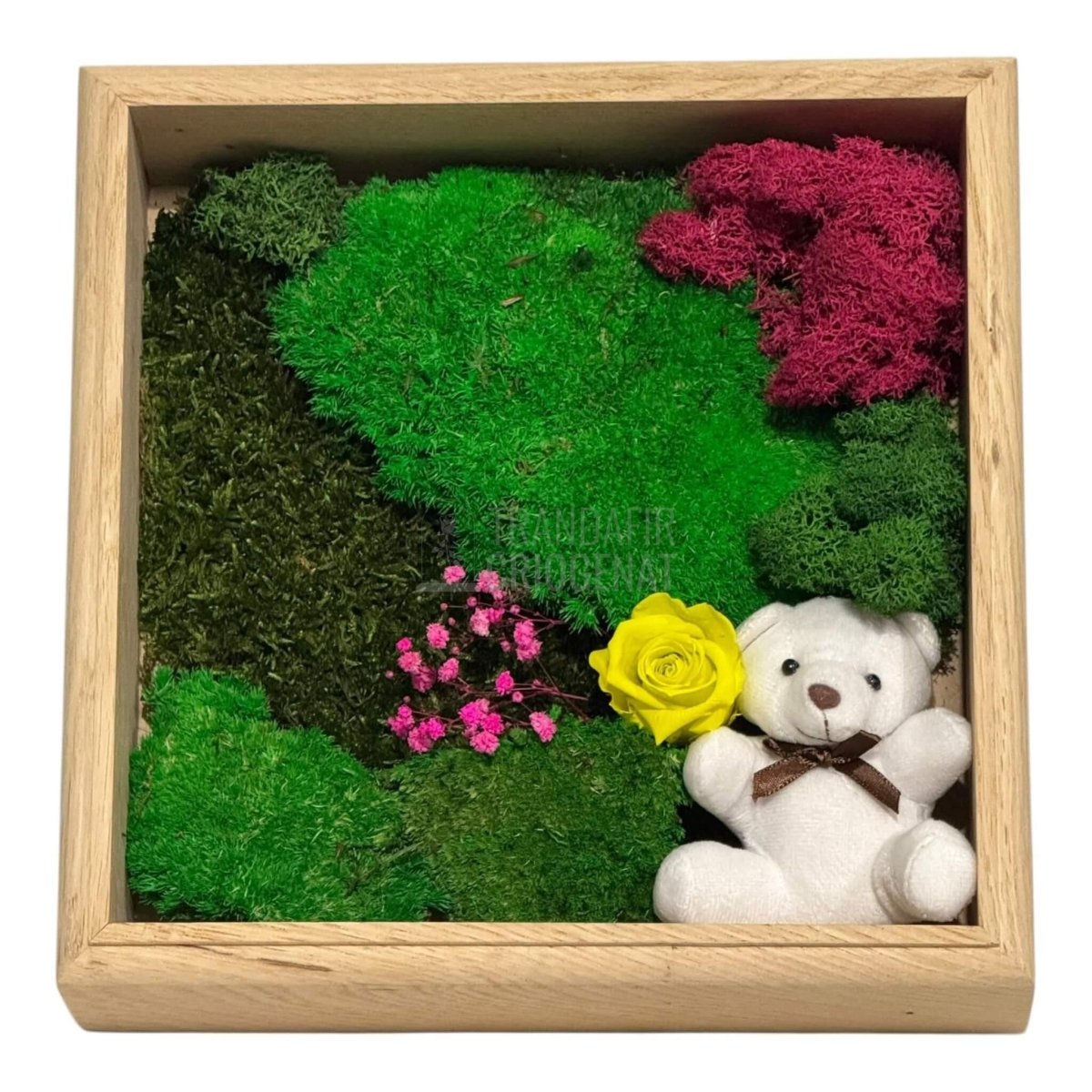 Tablou Natural cu Mușchi Licheni Trandafir Criogenat și Ursuleț o Declarație de Dragoste Unică - Trandafir - Criogenat.ro