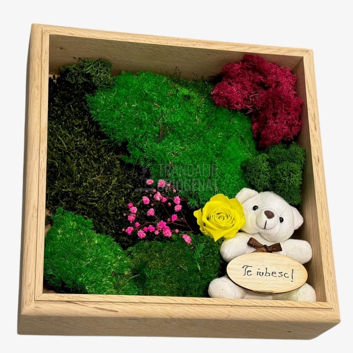Tablou Natural cu Mușchi Licheni Trandafir Criogenat și Ursuleț o Declarație de Dragoste Unică - Trandafir - Criogenat.ro