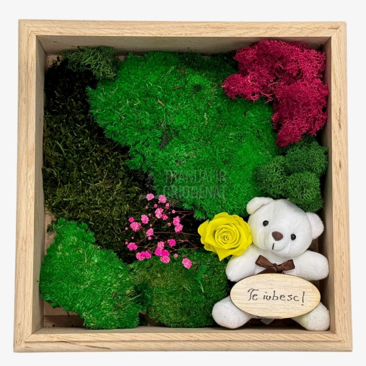 Tablou Natural cu Mușchi Licheni Trandafir Criogenat și Ursuleț o Declarație de Dragoste Unică - Trandafir - Criogenat.ro