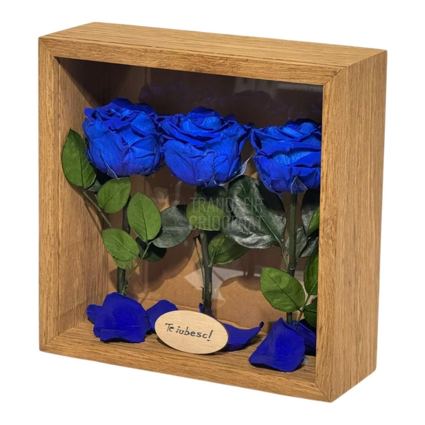 Tablou Personalizat 3 Trandafiri Criogenați Albaștri și Mesaj Special Exclusiv 27x27 cm - Trandafir - Criogenat.ro