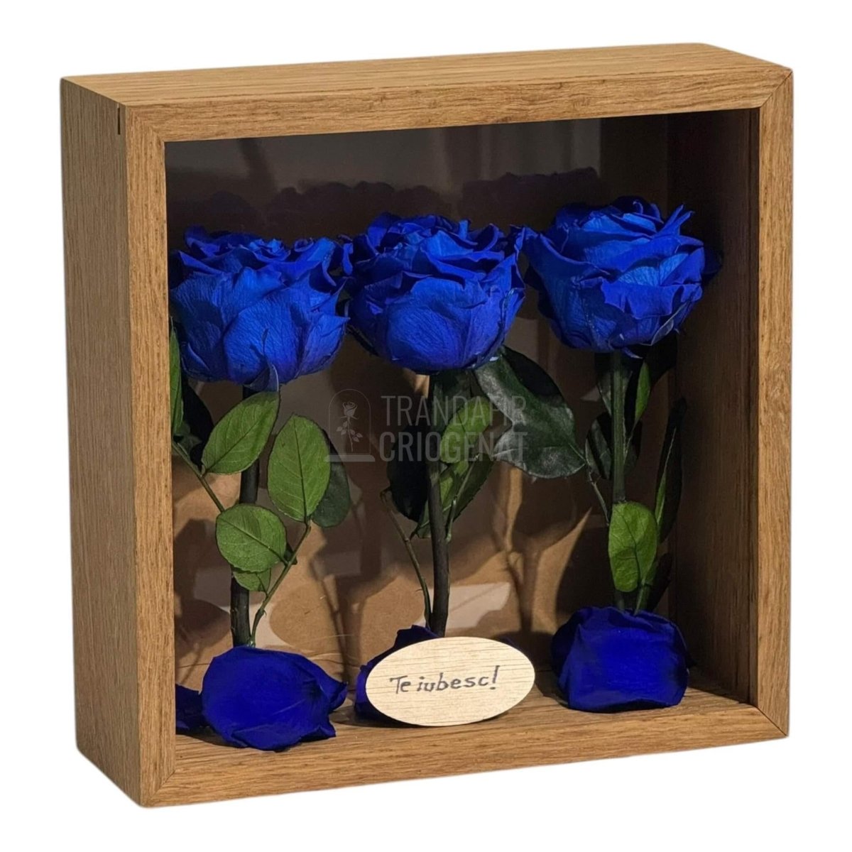 Tablou Personalizat 3 Trandafiri Criogenați Albaștri și Mesaj Special Exclusiv 27x27 cm - Trandafir - Criogenat.ro