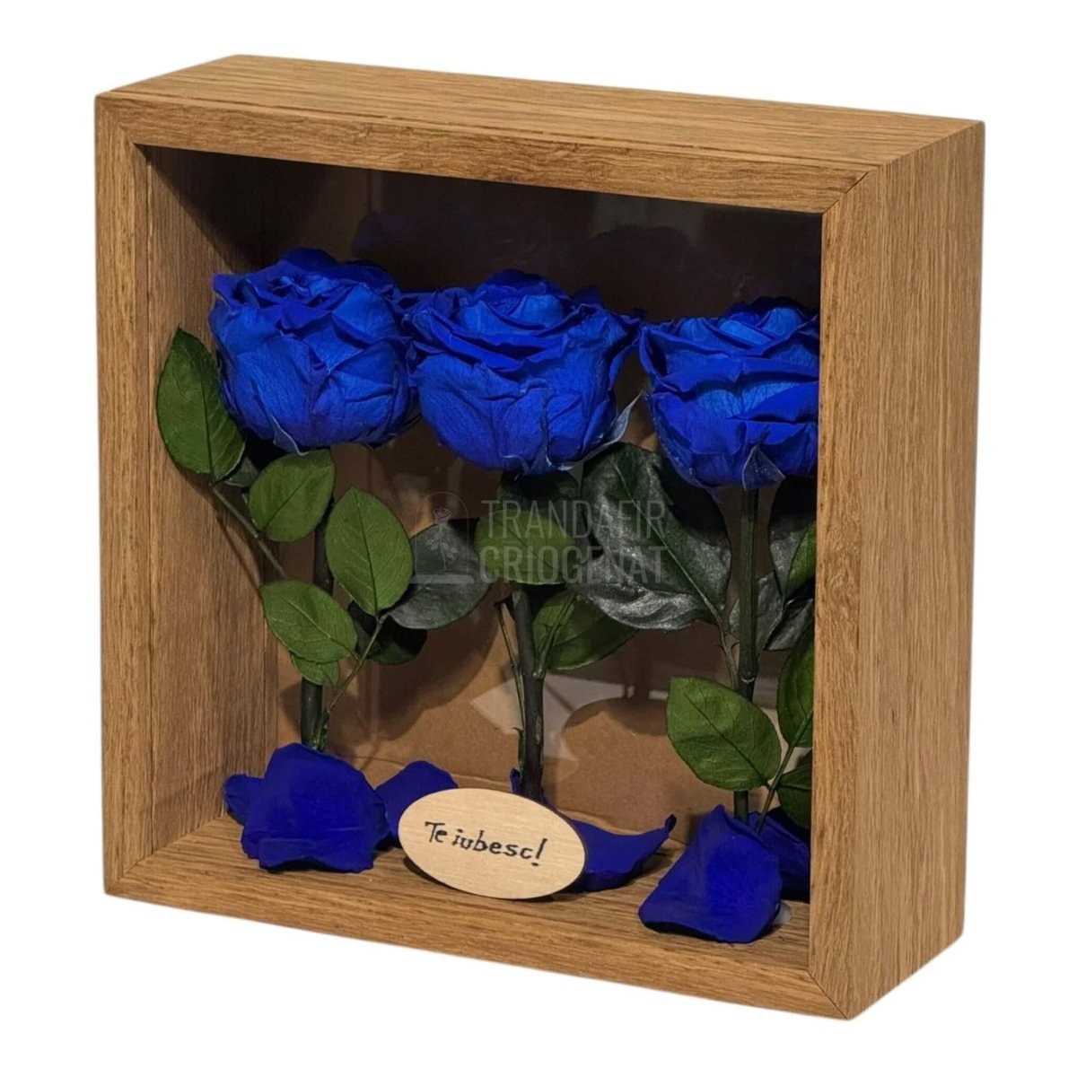 Tablou Personalizat 3 Trandafiri Criogenați Albaștri și Mesaj Special Exclusiv 27x27 cm - Trandafir - Criogenat.ro