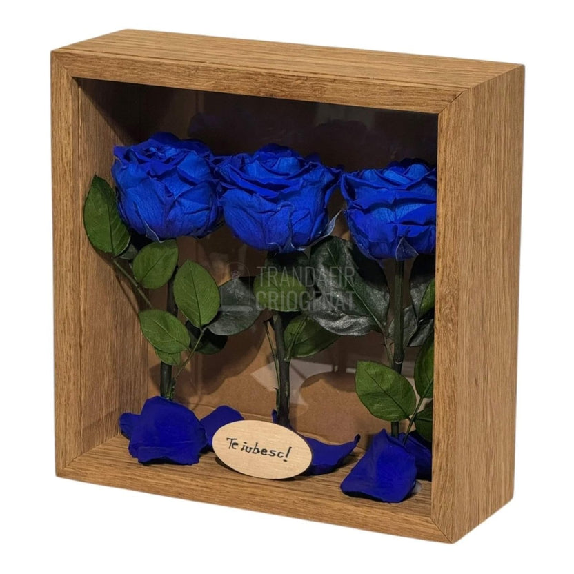 Tablou Personalizat 3 Trandafiri Criogenați Albaștri și Mesaj Special Exclusiv 27x27 cm - Trandafir - Criogenat.ro