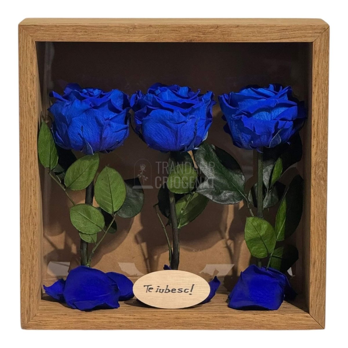 Tablou Personalizat 3 Trandafiri Criogenați Albaștri și Mesaj Special Exclusiv 27x27 cm - Trandafir - Criogenat.ro