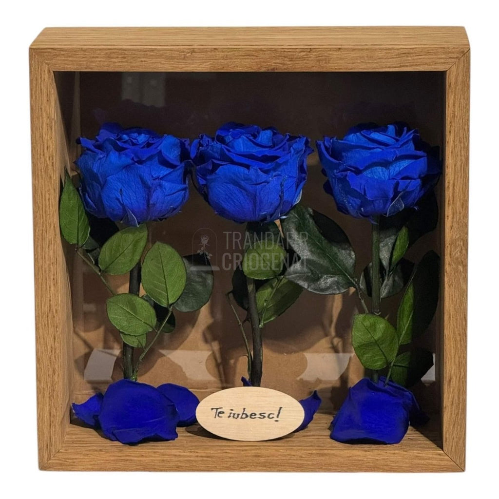 Tablou Personalizat 3 Trandafiri Criogenați Albaștri și Mesaj Special Exclusiv 27x27 cm - Trandafir - Criogenat.ro