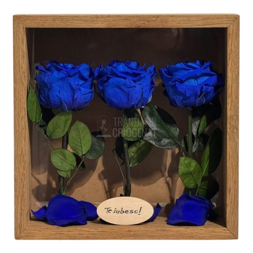 Tablou Personalizat 3 Trandafiri Criogenați Albaștri și Mesaj Special Exclusiv 27x27 cm - Trandafir - Criogenat.ro