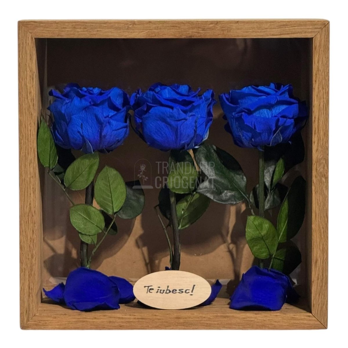 Tablou Personalizat 3 Trandafiri Criogenați Albaștri și Mesaj Special Exclusiv 27x27 cm - Trandafir - Criogenat.ro