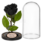 Trandafir criogenat Premium negru în cupolă de sticlă 12 × 25 cm — simplu — cu mesaj — detalii și unghiuri