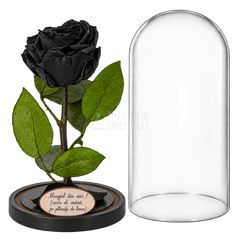 Trandafir criogenat Premium negru în cupolă de sticlă 12 × 25 cm — simplu — cu mesaj — detalii și unghiuri