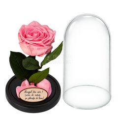 Trandafir criogenat Premium roz pastel în cupolă de sticlă 12 × 25 cm — simplu — cu mesaj — detalii și unghiuri