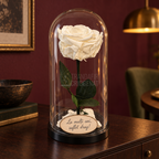 Trandafir criogenat Premium alb în cupolă de sticlă 12 × 25 cm — simplu — cu mesaj — produsul în decor