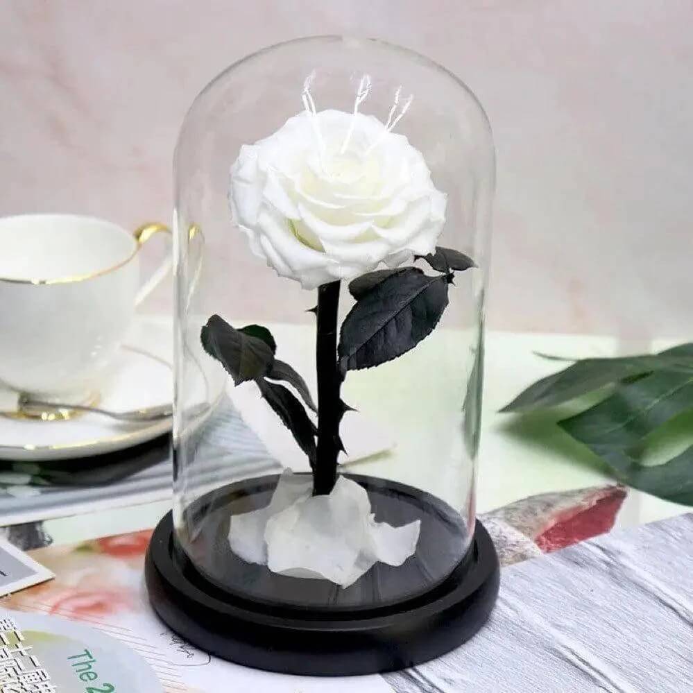 Trandafir Criogenat Alb Bella în Cupolă Elegantă Ø8cm Cadou Personalizat 10x20cm - Trandafir - Criogenat.ro