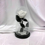 Trandafir Criogenat Alb Elegant Cu Cupolă De Sticlă 8 Cm Cadou Perfect - Trandafir - Criogenat.ro