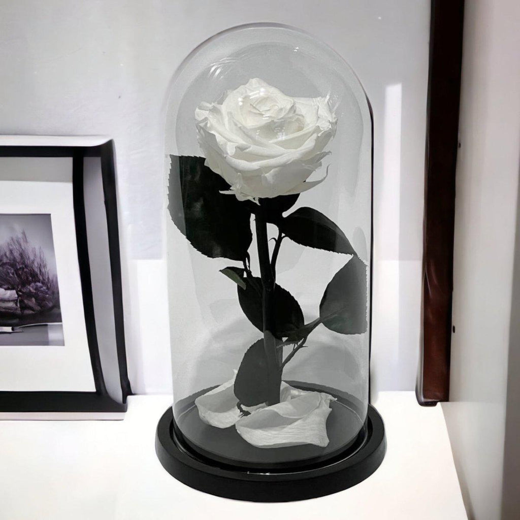 Trandafir Criogenat Alb Elegant Cu Cupolă De Sticlă 8 Cm Cadou Perfect - Trandafir - Criogenat.ro