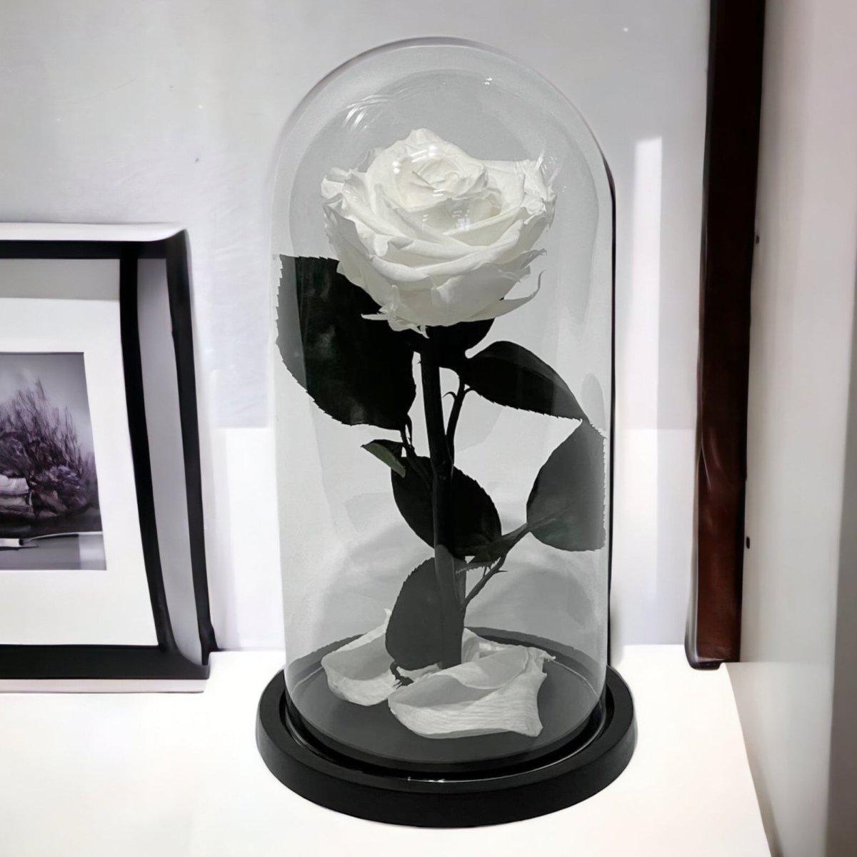 Trandafir Criogenat Alb Elegant Cu Cupolă De Sticlă 8 Cm Cadou Perfect - Trandafir - Criogenat.ro