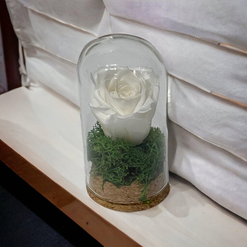 Trandafir Criogenat Alb În Cupolă De Sticlă Cadou Elegant 5x9,5cm Premium - Trandafir - Criogenat.ro