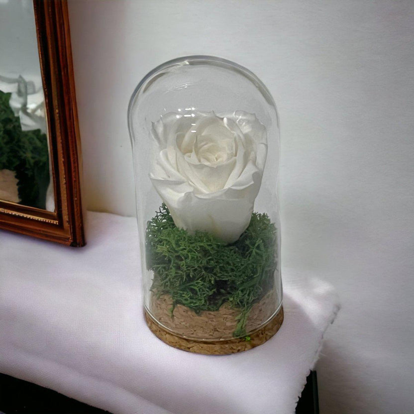 Trandafir Criogenat Alb În Cupolă De Sticlă Cadou Elegant 5x9,5cm Premium - Trandafir - Criogenat.ro