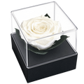 Trandafir criogenat alb în cutie cadou 10 × 10 × 11 cm - Trandafir-Criogenat.ro