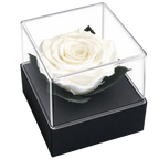 Trandafir criogenat alb în cutie cadou 10 × 10 × 11 cm - Trandafir-Criogenat.ro