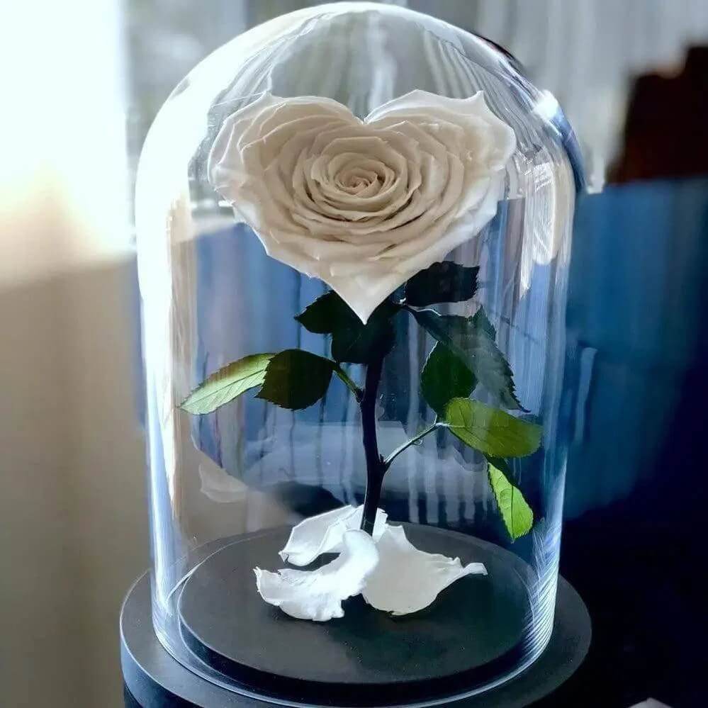 Trandafir Criogenat Alb In Forma De Inima In Cupola De Sticla Cadou 9 Cm - Trandafir - Criogenat.ro