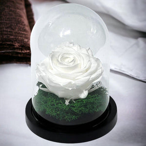 Trandafir Criogenat Alb Premium Cu Cupolă Sticlă 8 cm Blat Lemn Elegant 10x15 cm - Trandafir - Criogenat.ro