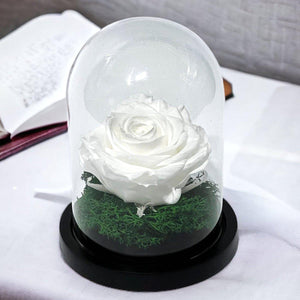 Trandafir Criogenat Alb Premium Cu Cupolă Sticlă 8 cm Blat Lemn Elegant 10x15 cm - Trandafir - Criogenat.ro