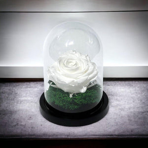 Trandafir Criogenat Alb Premium Cu Cupolă Sticlă 8 cm Blat Lemn Elegant 10x15 cm - Trandafir - Criogenat.ro