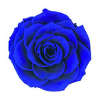 Trandafir Criogenat Albastru Bella În Cupolă Elegantă 8 cm Cadou Nemuritor - Trandafir - Criogenat.ro