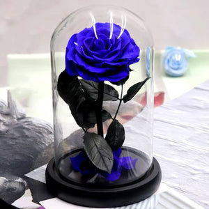 Trandafir Criogenat Albastru Bella În Cupolă Elegantă Cadou Personalizat - Trandafir - Criogenat.ro