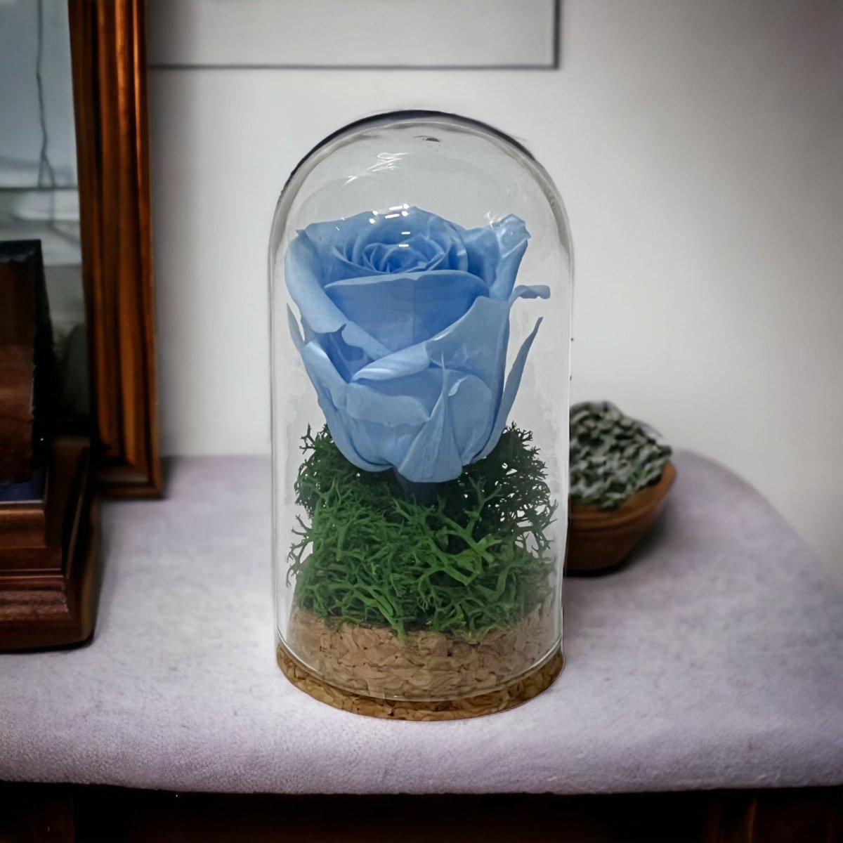 Trandafir Criogenat Albastru Cupolă Mică 5x9,5cm Mărturie Pentru Nunti - Trandafir - Criogenat.ro