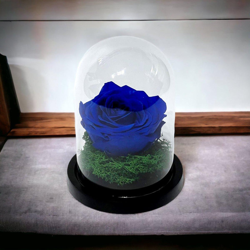Trandafir Criogenat Albastru Elegant în Cupolă de Sticlă Cadou Romantic - Trandafir - Criogenat.ro