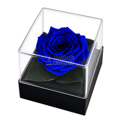Trandafir criogenat albastru în cutie cadou 10 × 10 × 11 cm - Trandafir-Criogenat.ro