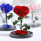 Trandafir Criogenat Albastru În Formă De Inimă Cu Cupolă Elegantă Ø9cm 15x25cm - Trandafir - Criogenat.ro