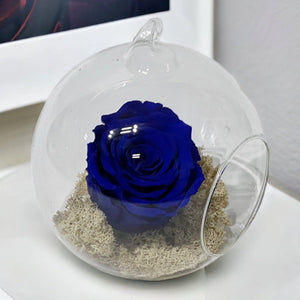 Trandafir Criogenat Albastru În Glob De Sticlă 12 Cm Cadou Elegant Pentru Femei - Trandafir - Criogenat.ro