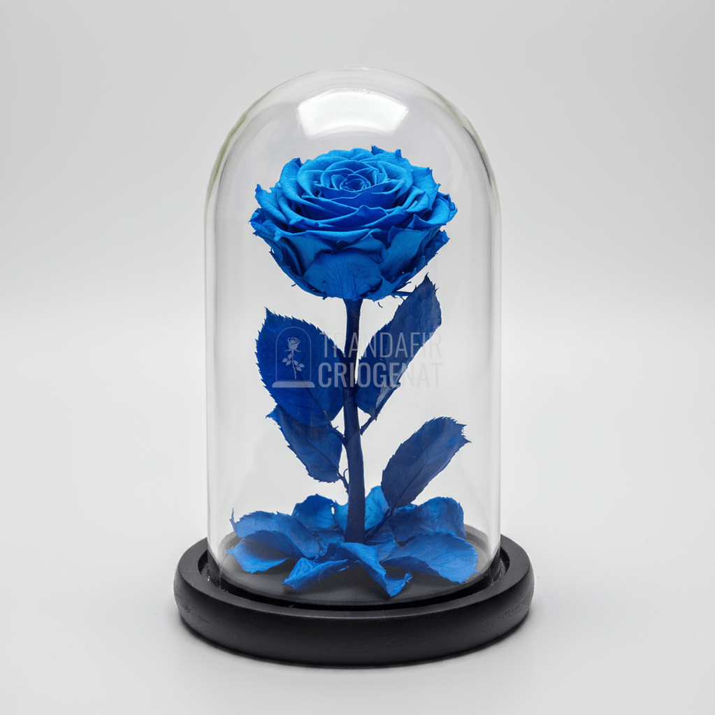 Trandafir Criogenat albastru premium in cupola de sticla, cu mesaj scris - Trandafir - Criogenat.ro