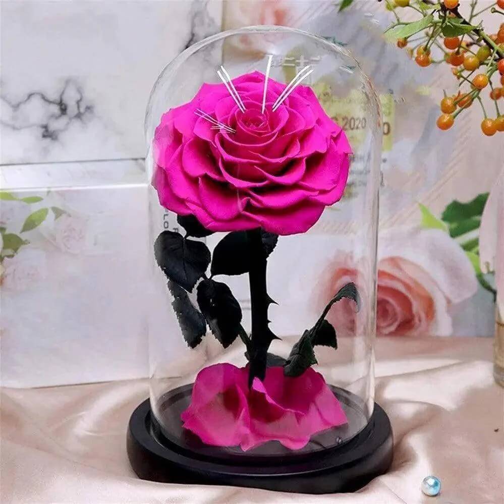 Trandafir Criogenat Bella Ciclam În Cupolă De Sticlă 8 Cm Cadou Elegant 10x20 Cm - Trandafir - Criogenat.ro