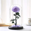Trandafir Criogenat Bella Lila Diametru 8 Cm În Cupolă De Sticlă Elegantă 12x25 - Trandafir - Criogenat.ro