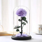 Trandafir Criogenat Bella Lila Diametru 8 Cm În Cupolă De Sticlă Elegantă 12x25 - Trandafir - Criogenat.ro