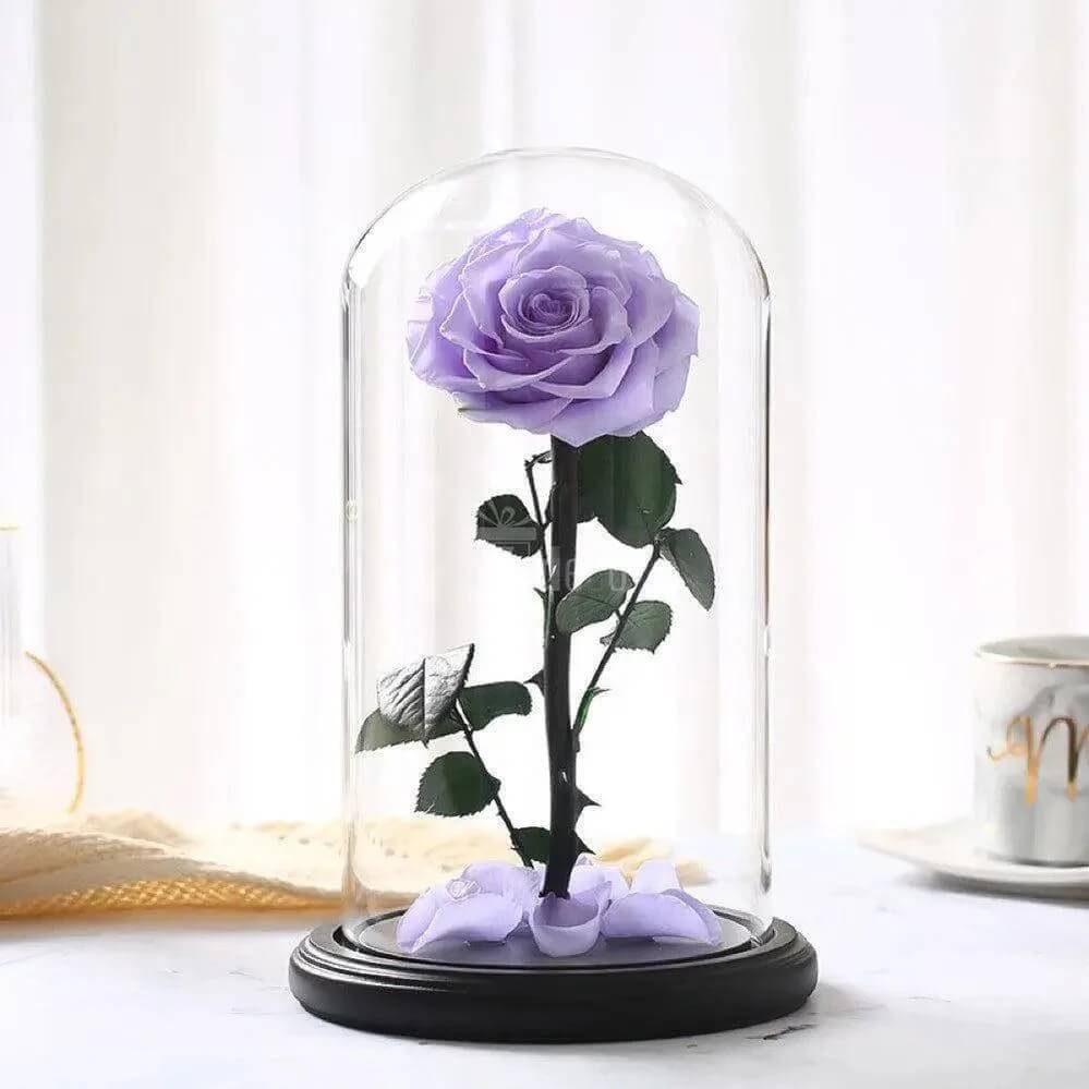 Trandafir Criogenat Bella Lila Diametru 8 Cm În Cupolă De Sticlă Elegantă 12x25 - Trandafir - Criogenat.ro