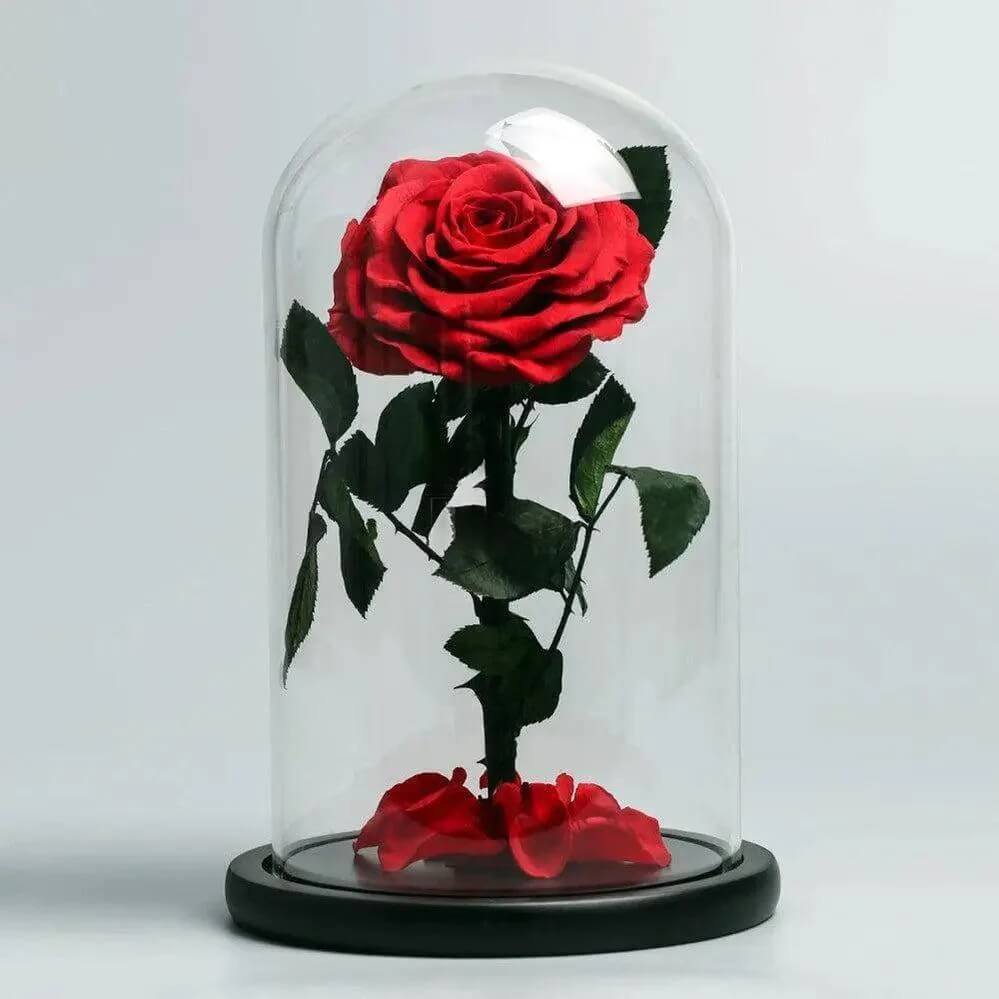 Trandafir Criogenat Bella Roșu în Cupolă de Sticlă Elegantă Cadou 12x25cm - Trandafir - Criogenat.ro