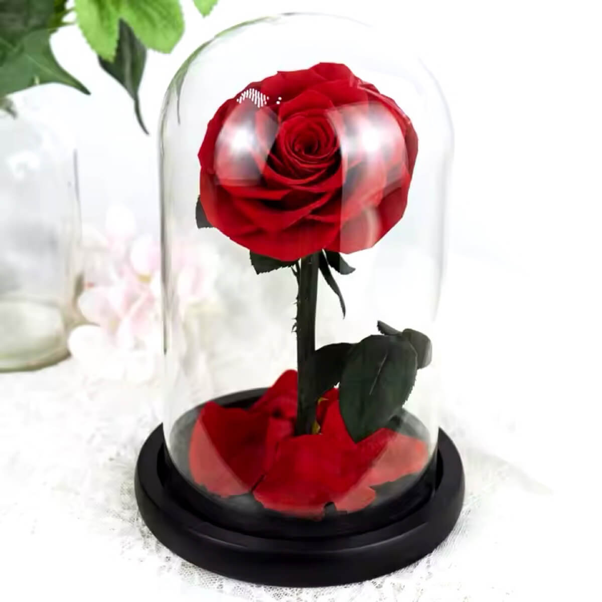 Trandafir Criogenat Bella Roșu În Cupolă De Sticlă Mesaj Personalizat Cadou - Trandafir - Criogenat.ro